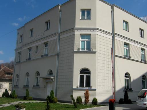 Vila Miletic Vrnjacka Banja Bagian luar foto