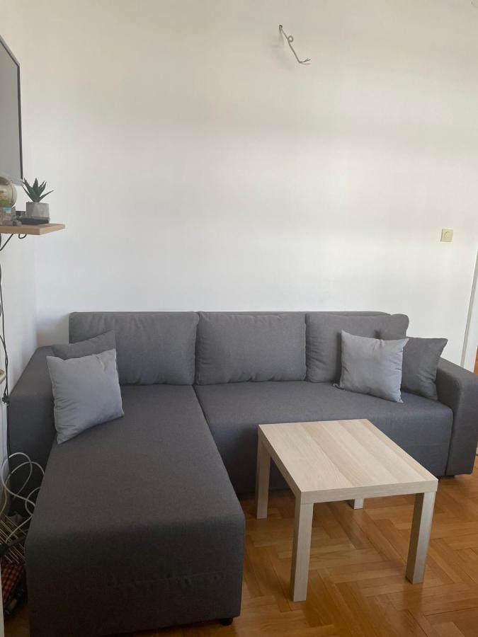 Vila Miletic Vrnjacka Banja Bagian luar foto