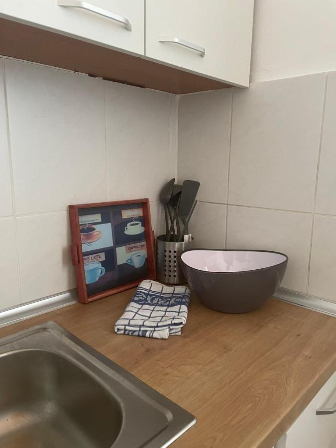 Vila Miletic Vrnjacka Banja Bagian luar foto
