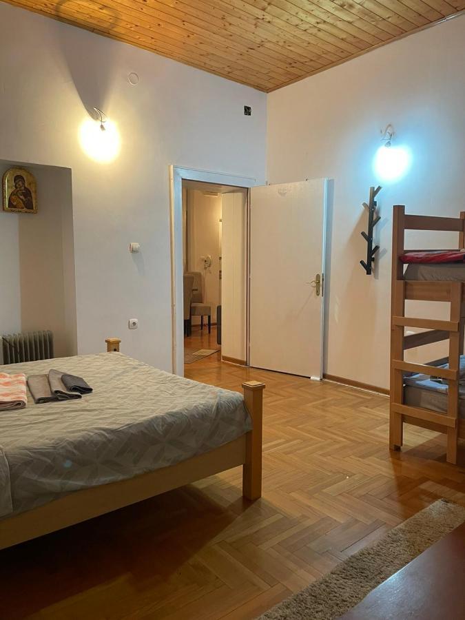 Vila Miletic Vrnjacka Banja Bagian luar foto