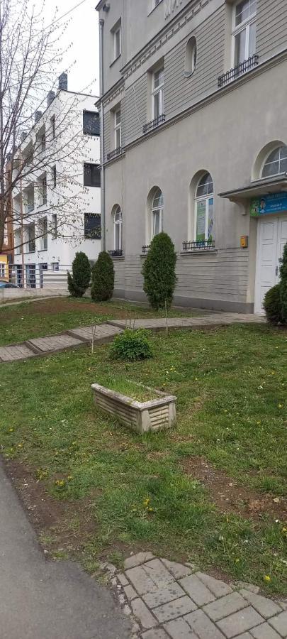 Vila Miletic Vrnjacka Banja Bagian luar foto