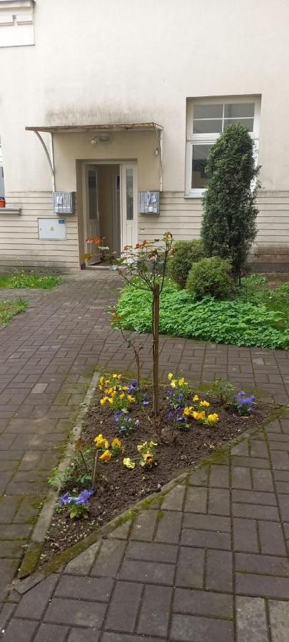 Vila Miletic Vrnjacka Banja Bagian luar foto