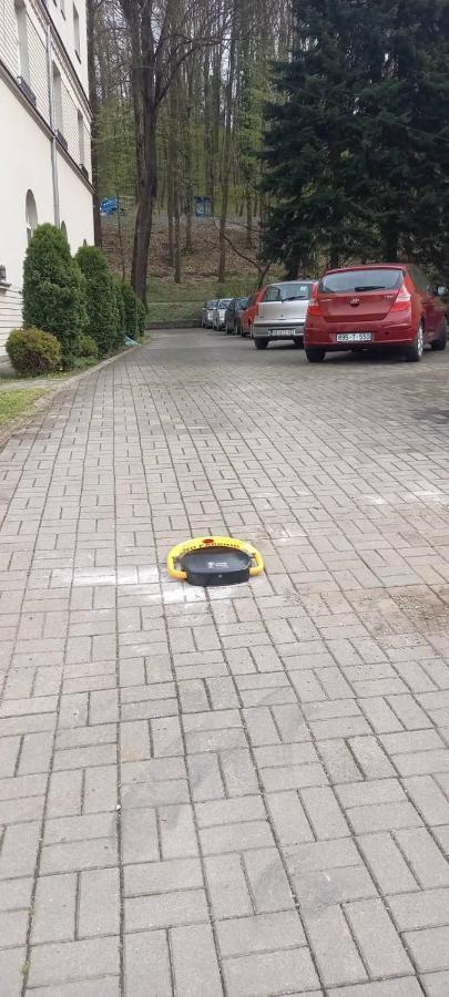Vila Miletic Vrnjacka Banja Bagian luar foto