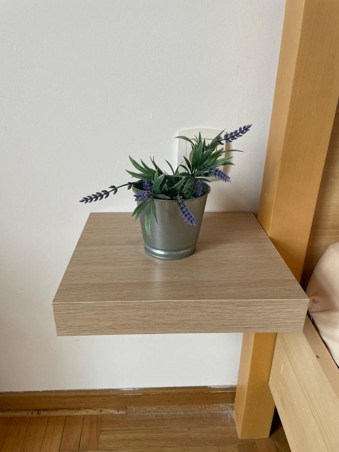 Vila Miletic Vrnjacka Banja Bagian luar foto