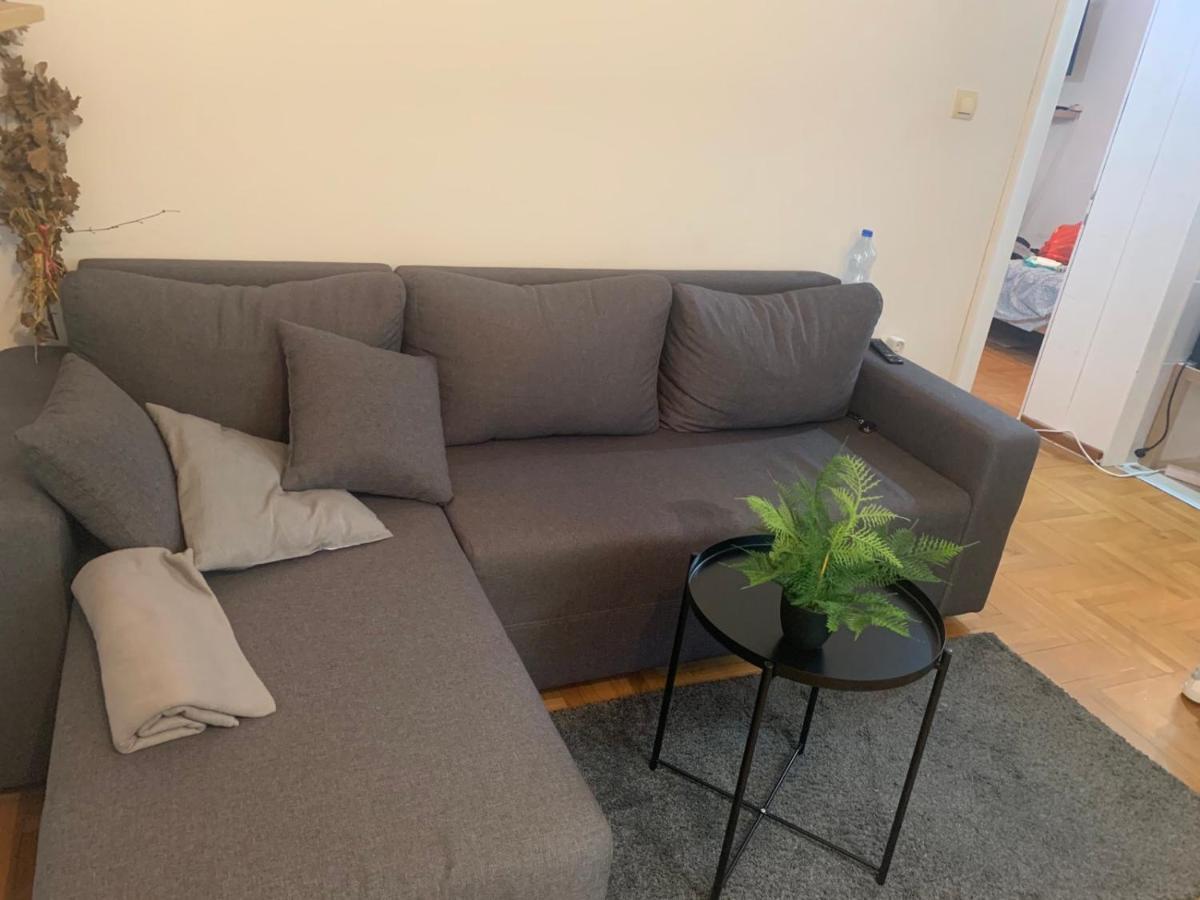 Vila Miletic Vrnjacka Banja Bagian luar foto