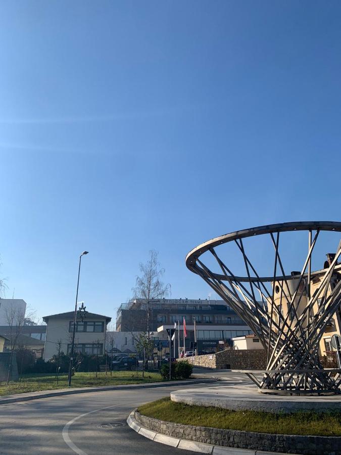 Vila Miletic Vrnjacka Banja Bagian luar foto